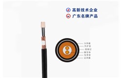 DJYPVP-300/500V DJYPVP-300/500V